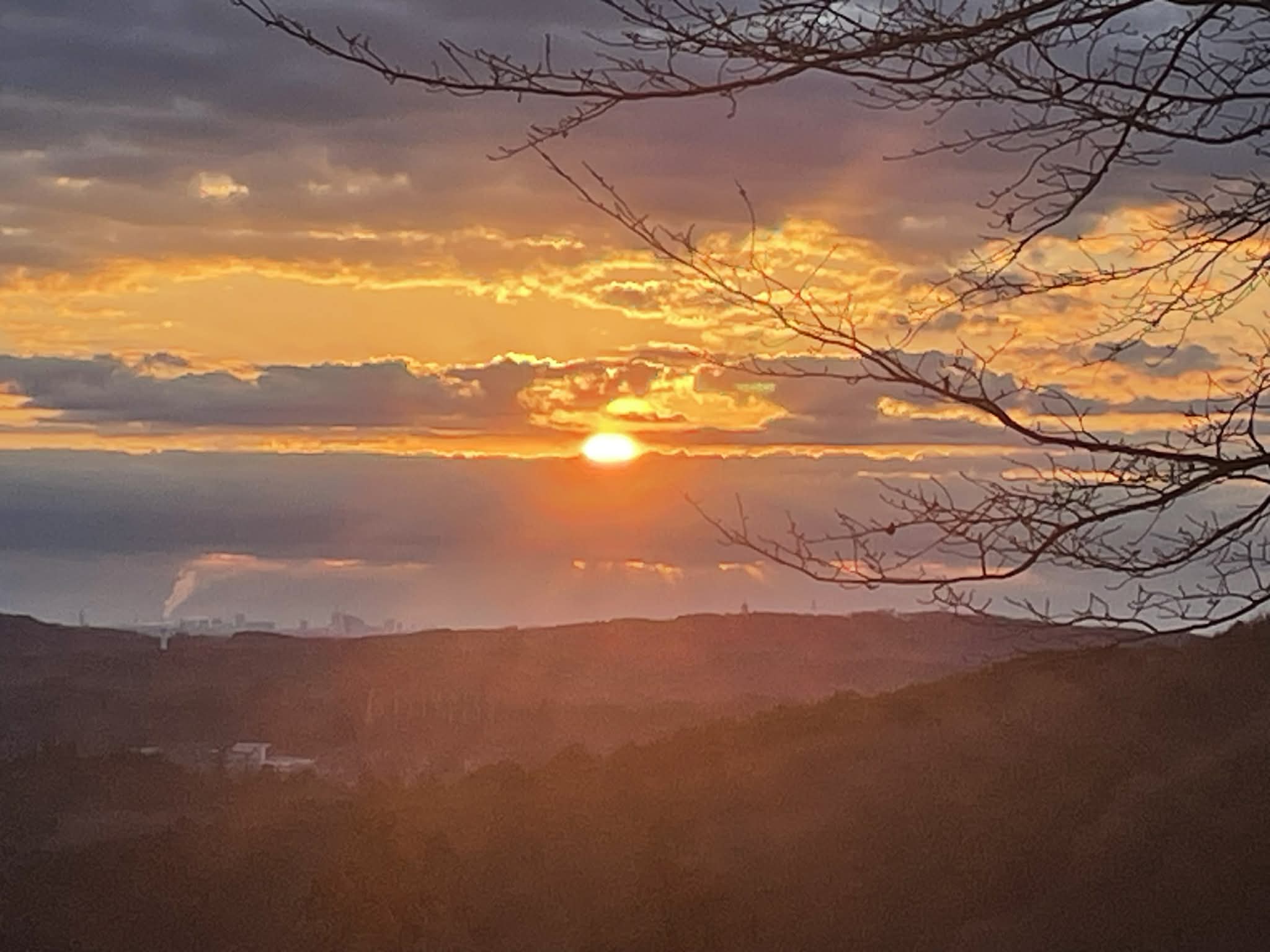 冬休み25の活動記録（#日々ログ）