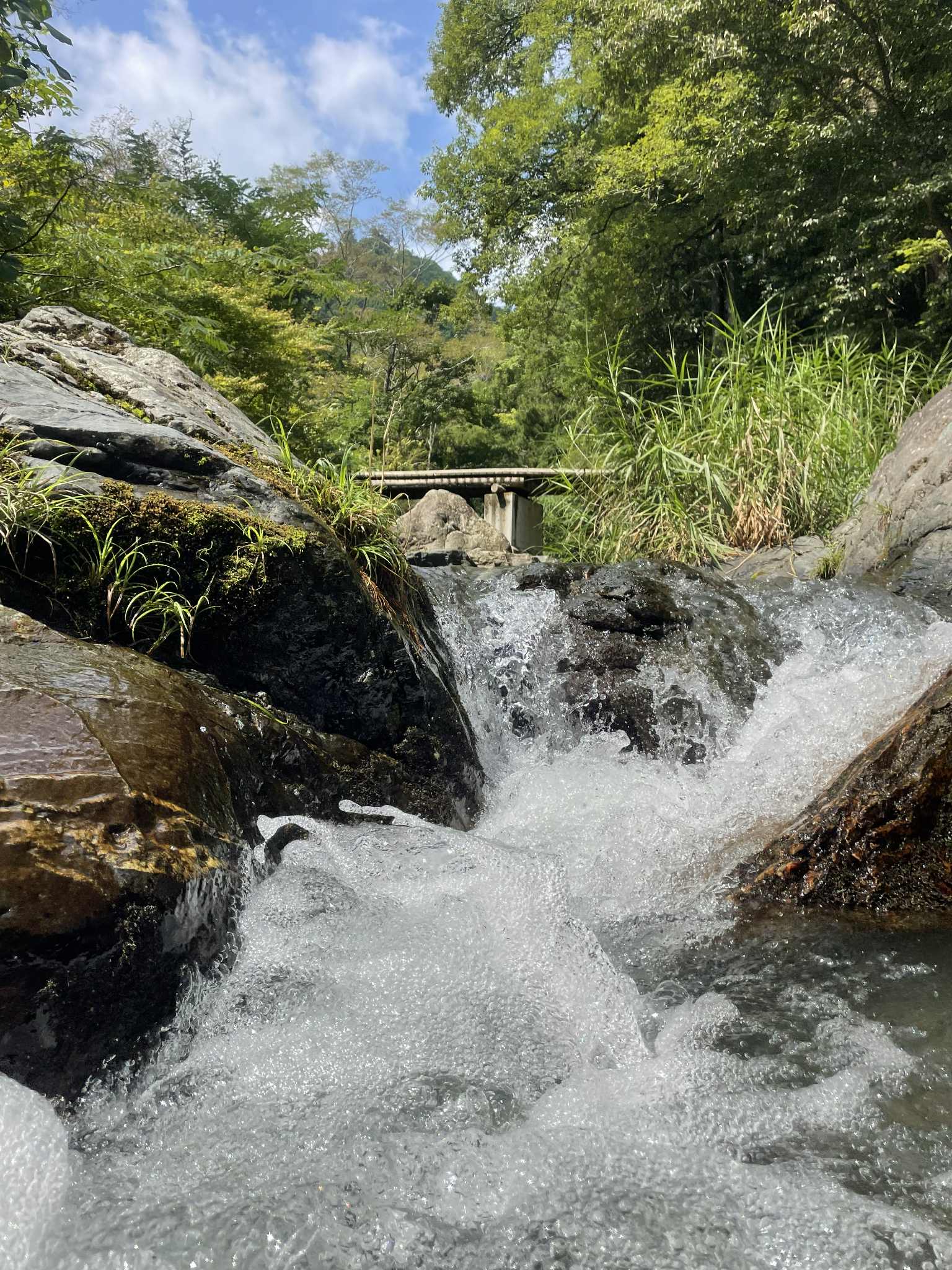 25年 夏休みの活動記録