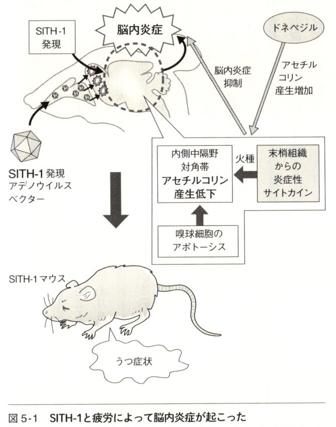 【木曜日24-8】ウイルス本